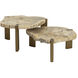 Orric 28 X 24 inch Natural / Antique Brass Coffee Table